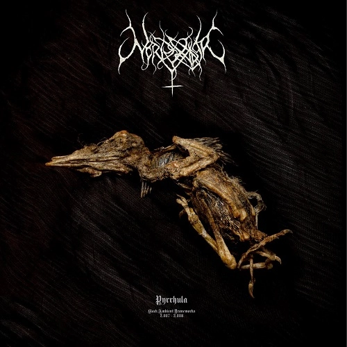 NORDVARGR / PYRRHULA(LP)