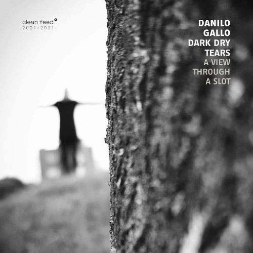 DANILO GALLO / ダニーロ・ガッロ / A VIEW THROUGH A SLOT / VIEW THROUGH A SLOT
