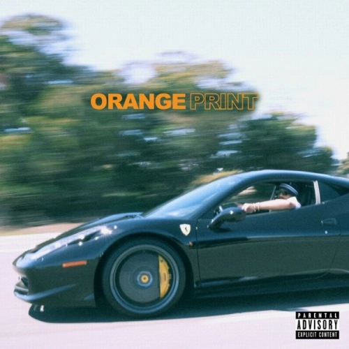LARRY JUNE / ラリー・ジューン / ORANGE PRINT