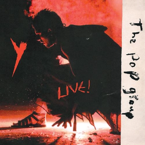 POP GROUP / ポップ・グループ / Y LIVE!