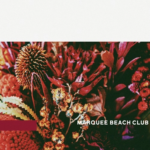 MARQUEE BEACH CLUB / マーキー・ビーチ・クラブ / follow / follow（Hitoshi Sakou Remix） / follow / follow(Hitoshi Sakou Remix)