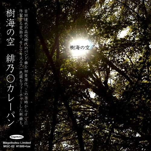 HINOMARUKAREPAN / 緋乃◯カレーパン / 樹海の空