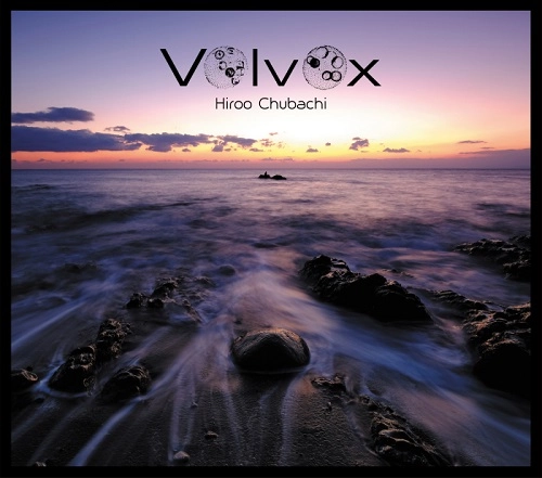 HIROO CHUBACHI / 中鉢洋夫 / ボルボックス / VOLVOX