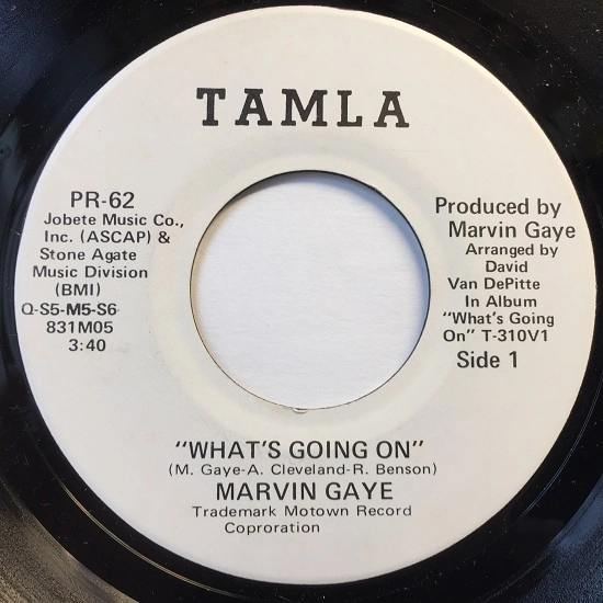 MARVIN GAYE / マーヴィン・ゲイ / WHAT'S GOING ON + MERCY MERCY ME (THE ECOLOGY)