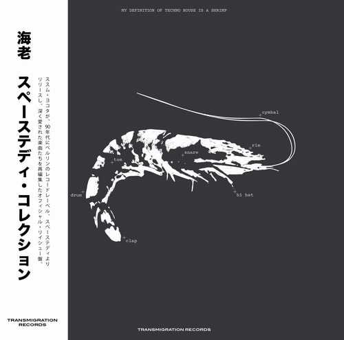 EBI (SUSUMU YOKOTA) / SPACE TEDDY COLLECTION