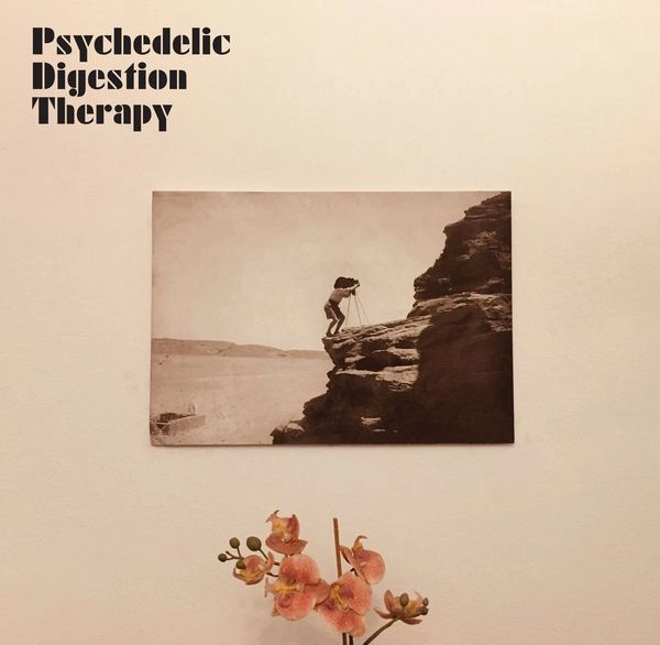 PSYCHEDELIC DIGESTION THERAPY / PSYCHEDELIC DIGESTION THERAPY