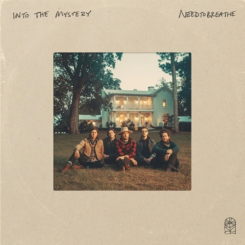 NEEDTOBREATHE / ニードトゥブリーズ / INTO THE MYSTERY [VINYL]