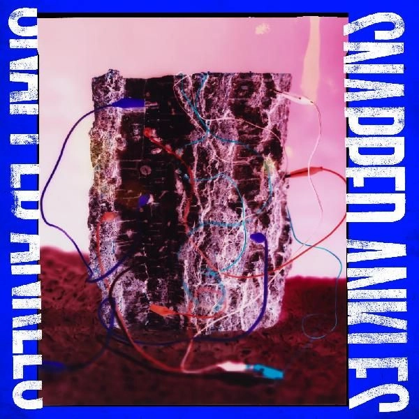 SNAPPED ANKLES / スナップト・アンクルズ / FOREST OF YOUR PROBLEMS (CD)