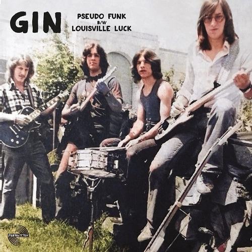 GIN (PSYCHE) / PSEUDO FUNK/LOUISVILLE LUCK(7")