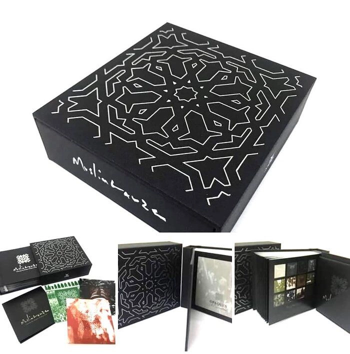 MUSLIMGAUZE / ムスリムガーゼ / CHASING THE SHADOW OF BRYN JONES 11 CD BOX