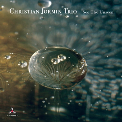 CHRISTIAN JORMIN / クリスチャン・ヨルミン / SEE THE UNSEEN