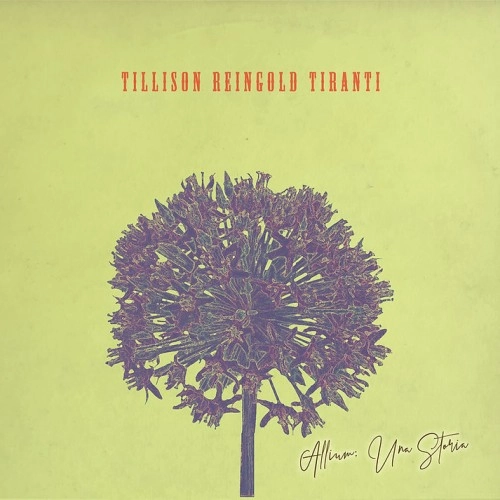 ANDY TILLISON/JONAS REINGOLD/ROBERTO TIRANTI / ティリソン、レインゴールド、ティランティ / ALLIUM: UNA STORIA