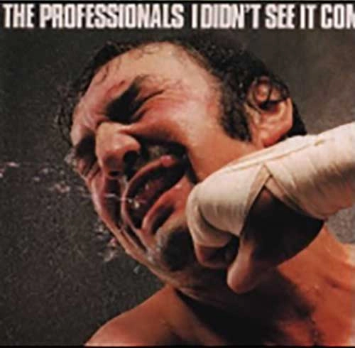 THE PROFESSIONALS / ザ・プロフェッショナルズ / 炸裂