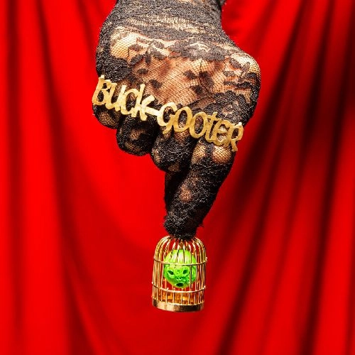 BUCK GOOTER / HEAD IN A BIRD CAGE (LP)