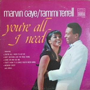 MARVIN GAYE & TAMMI TERRELL / マーヴィン・ゲイ&タミー・テレル / YOU'RE ALL I NEED