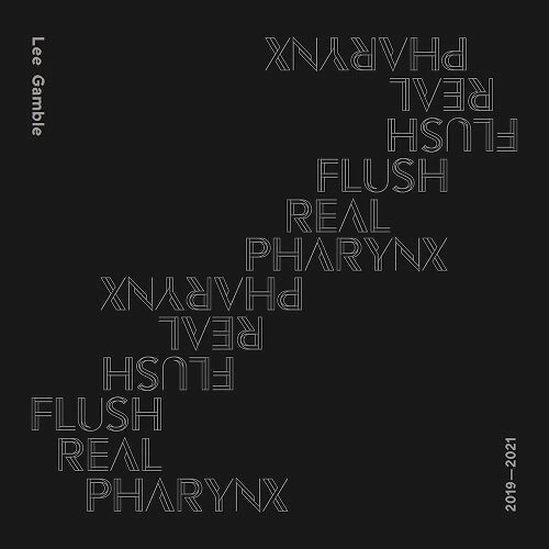 LEE GAMBLE / リー・ギャンブル / FLUSH REAL PHARYNX 2019-2021