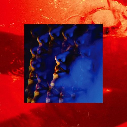 LITTLE HAG / LEASH (LP)