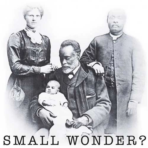 CARPETTES / カーペッツ / SMALL WONDER? (7")
