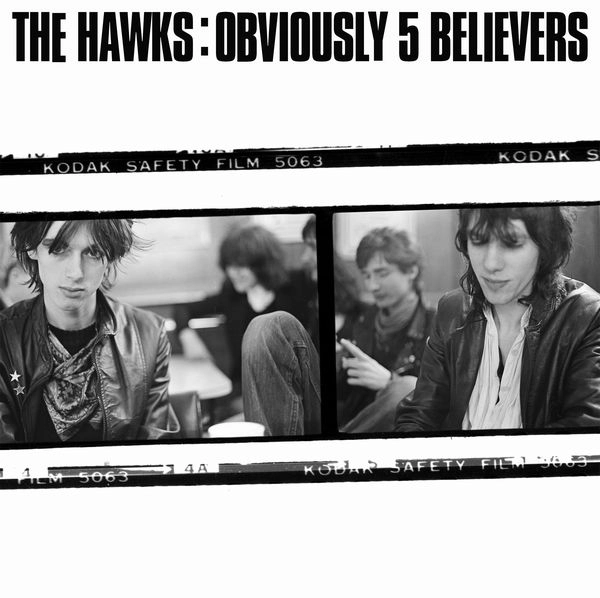 HAWKS (BIRMINGHAM) / OBVIOUSLY 5 BELIEVERS (LP)