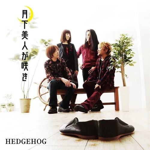 HEDGEHOG / 月下美人が咲き