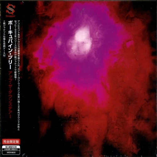 PORCUPINE TREE / ポーキュパイン・ツリー / アップ･ザ･ダウンステアー / UP THE DOWNSTAIR
