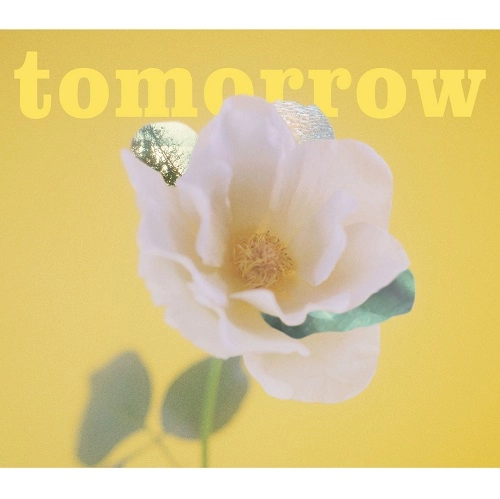 IBECALLER / アイビーカラー / tomorrow