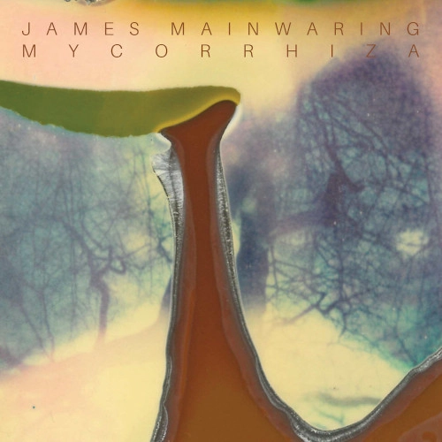 JAMES MAINWARING / ジェームズ・メインウェアリング / Mycorrhiza