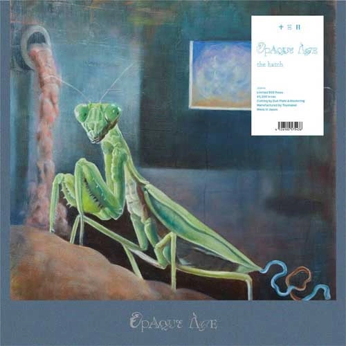 the hatch / OpaqueAge（LP） / OpaqueAge (LP)