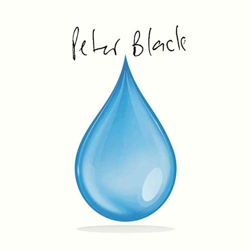 PETER BLACK (from HARD-ONS) / IF THIS IS THE HAND THAT I'M DEALT