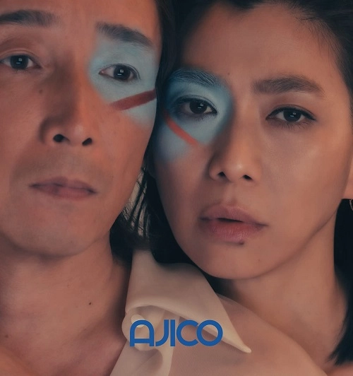 AJICO / 接続（12"）