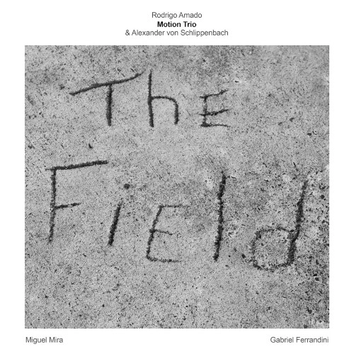 RODRIGO AMADO / ロドリゴ・アマド / FIELD