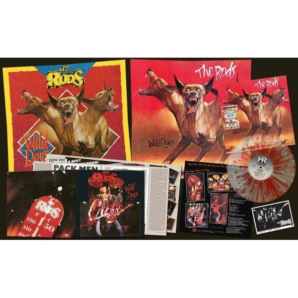 RODS / ザ・ロッズ / WILD DOGS<FIRE SPLATTER VINYL>