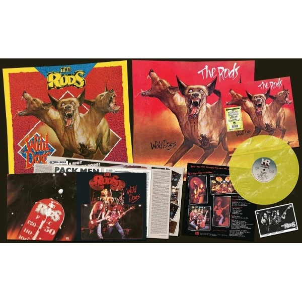 RODS / ザ・ロッズ / WILD DOGS<MARBLED  VINYL>