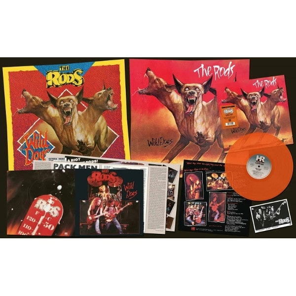 RODS / ザ・ロッズ / WILD DOGS<ORANGE VINYL>