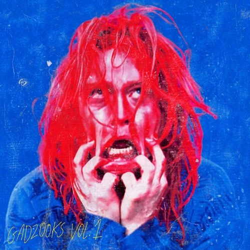 CALEB LANDRY JONES / ケイレブ・ランドリー・ジョーンズ / GADZOOKS VOL. 1(LP)
