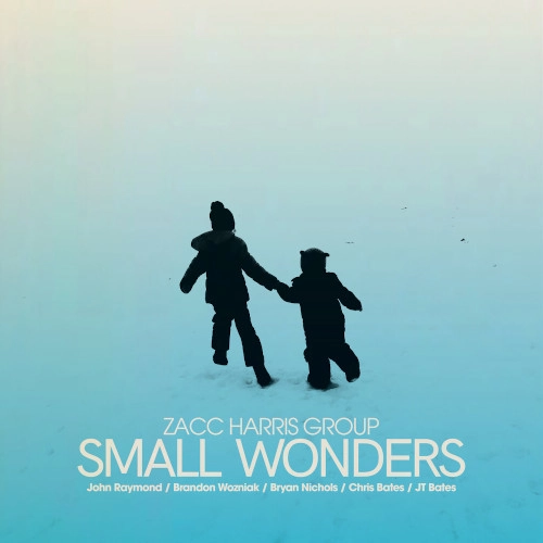 ZACC HARRIS / SMALL WONDERS