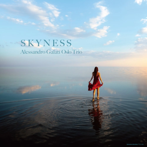 ALESSANDRO GALATI / アレッサンドロ・ガラティ / SKYNESS（LP） / SKYNESS(LP)