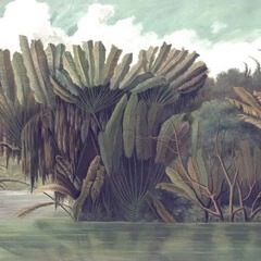 XIQUE-XIQUE / NA LAGOA