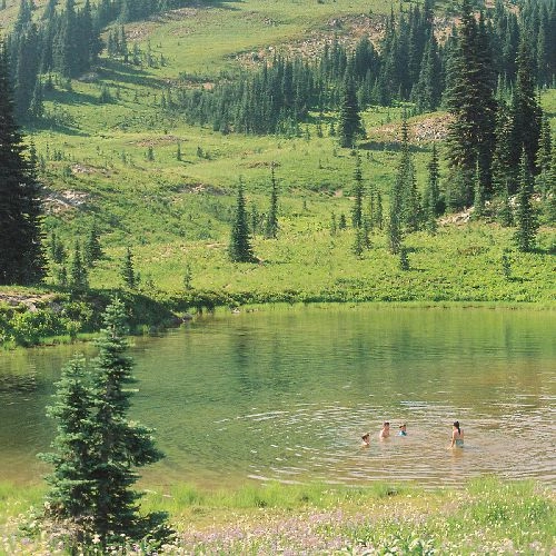 SKIRTS / GREAT BIG WILD OAK (LP)