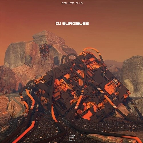 DJ SURGELES / VISIONS OF THE WISE