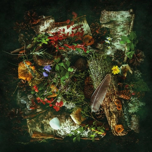 AGUSA / アグサ / EN ANNAN VARLD: GREEN VINYL LTD.