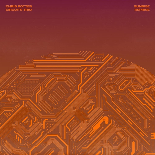 CHRIS POTTER / クリス・ポッター / SUNRISE REPRISE(COLORED VINYL)