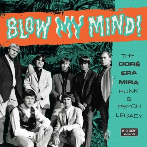 V.A. (GARAGE) / BLOW MY MIND! THE DORE-ERA-MIRA PUNK & PSYCH LEGACY / BLOW MY MIND! THE DORE-ERA-MIRA PUNK & PSYCH LEGACY  (CD)