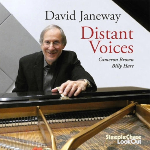 DAVID JANEWAY / デヴィッド・ジェーンウェイ / DISTANT VOICES