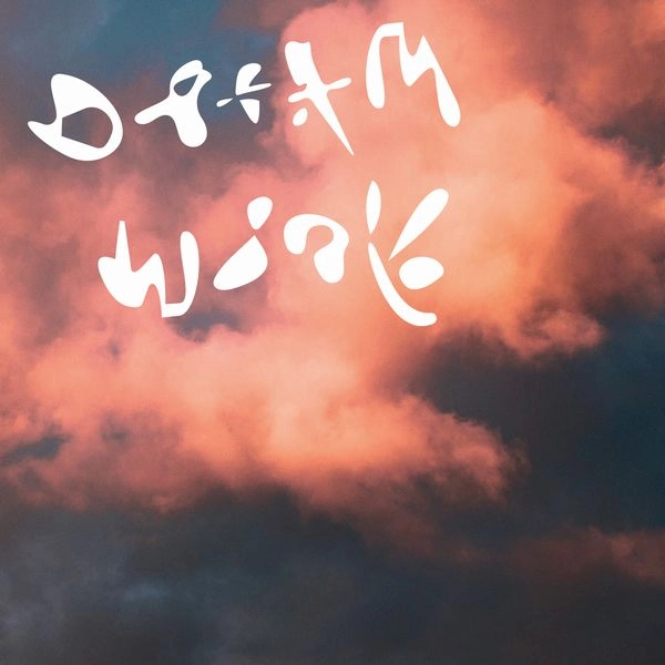 DINNER (INDIE) / ディナー / DREAM WORK (VINYL)