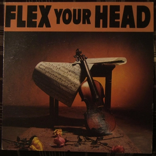 V.A. / FLEX YOUR HEAD