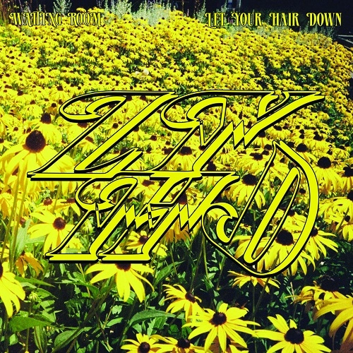 LET YOUR HAIR DOWN / WAITING ROOM