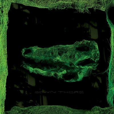 AVEY TARE / エイヴィ・テア / DOWN THERE (LP)
