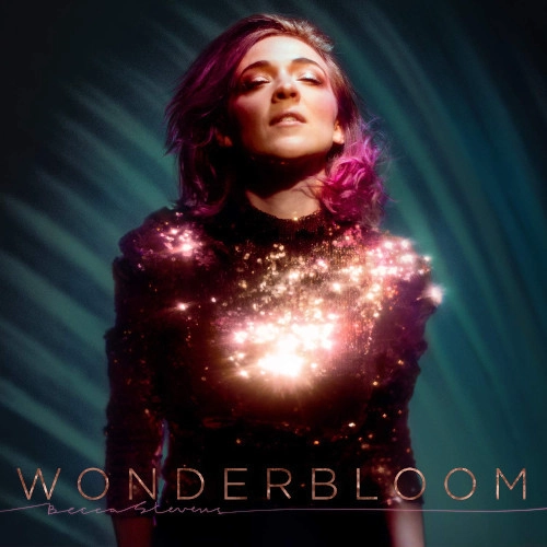 BECCA STEVENS / ベッカ・スティーヴンス / WONDERBLOOM(LP)