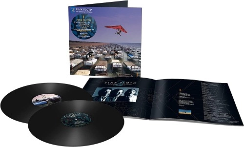 PINK FLOYD / ピンク・フロイド / A MOMENTARY LAPSE OF REASON REMIXED & UPDATED: 180g LIMITED VINYL
